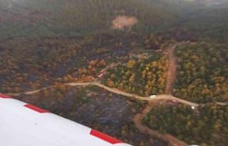 Soma’daki orman yangını kontrol altına alındı