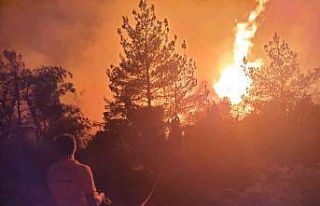 Soma’daki orman yangınında 50 hektarlık alan...