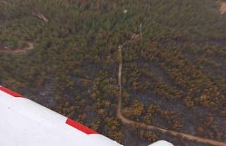 Soma’daki orman yangınının etrafı çevrildi