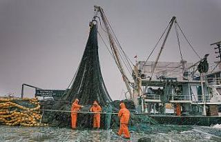 Süleymanpaşa’nın Renkleri Fotoğraf Yarışması...