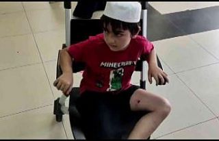 Sultanbeyli’de başıboş sokak köpeklerinin küçük...