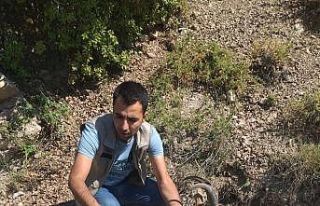 Sürüye karışan yaban keçisi doğaya bırakıldı