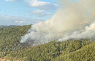 Susurluk’ta 16 hektar ormanlık alan kül oldu