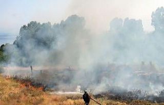 Tarihi mezarlıktaki yangın büyümeden söndürüldü
