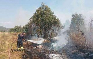 Tarım arazinde çıkan yangın kontrol altına alındı