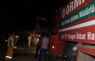 Tarım arazisinde çıkan yangın büyümeden söndürüldü