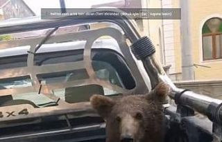 Tarım ve Orman Bakanlığı, fazla acı bal yiyerek...