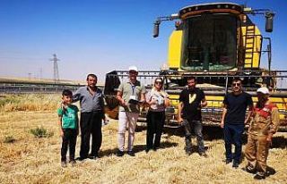 Tarım ve Orman Müdürlüğü ekipleri, biçerdöver...