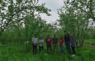 Tarımsal atıklar değerlendirilecek