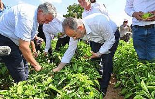 Tarlada serinleten ziyaret