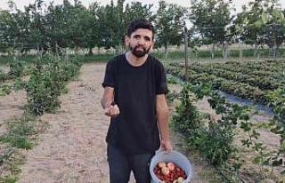 Tarladan halka ‘organik hizmet ‘