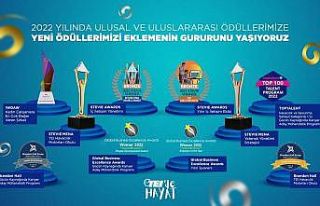 TEI ödüle doymuyor