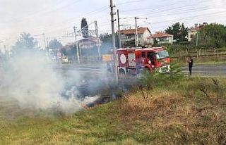 Tekirdağ’da otluk yangını
