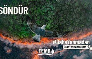 TEMA Vakfı, “Orman yangınlarını önlemek söndürmekten...