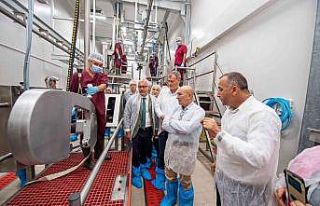 Tire Mezbahası ve Süt İşleme Tesisi açılıyor