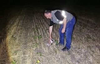 Tokat DKKMP yeni sezon denetimi