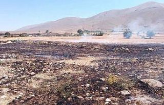 Tomarza’da arazi yangını