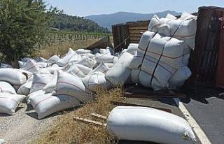 Tonlarca kekik devrilen kamyondan yola saçıldı