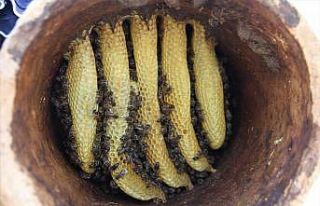 Toprak kovanda üretilen bal büyük ilgi görüyor