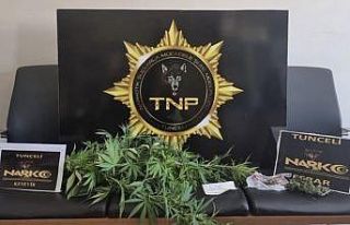 Tunceli’de 321 adet kaçak ürün ele geçirildi