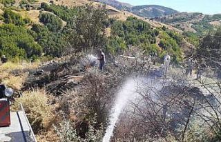 Tunceli’de otluk alanda çıkan yangın söndürüldü