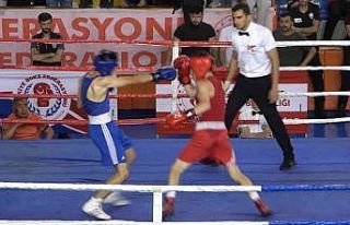 Türkiye Ferdi Boks Şampiyonası sona erdi