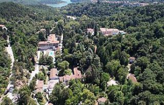 Türkiye’nin ilk ağaç müzesi ziyaretçilerini...