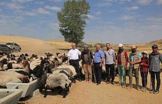 Tuşba Belediyesinden kırsal mahallelere sıvat desteği