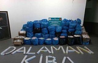 Uçaktaki 49 yolcunun anlaşarak sokmaya çalıştığı...