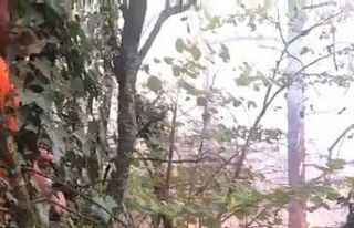 Uludağ’ın eteklerinde korkutan yangın