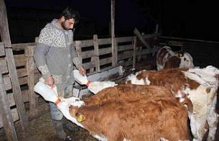 Üniversiteyi bitirip çiftçilik yaparak kendi işinin...