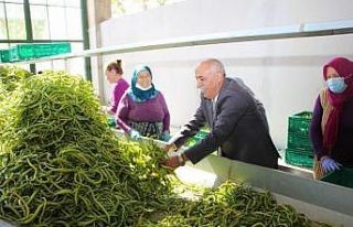 Üretken belediyecilik bilimin gündeminde