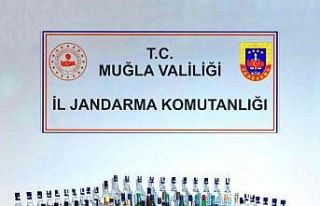 Uyuşturucu operasyonunda cephanelik ele geçirildi