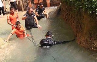 Vadideki suyun altında devasa kayaya sıkışıp...