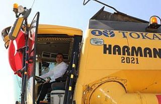 Vali Öksüz, çiftçilerle birlikte hasat yaptı