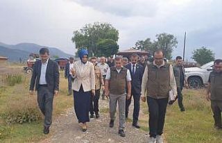 Vali Yiğitbaşı, Eber Gölü’nde yürütülen...