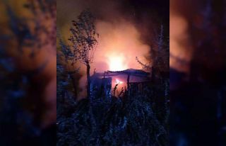 Van’da odunluk yangını