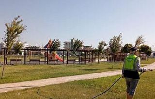 Viranşehir’de ilaçlama çalışmaları devam ediyor