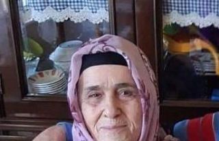 Yalova’da tırın altında kalan yaşlı kadın...