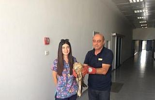 Yaralı Şahine Yardım Eli