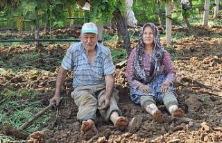 Yaşlı çift çalışma azmiyle örnek oluyor