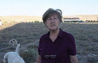 Yaşlı kadına ‘sokakta hayvan besleme’ tehdidi