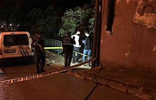 Yatalak karısının çığlıklarıyla cinayet ortaya...