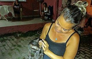 Yavru kediyi düştüğü kuyudan itfaiye ekipleri...