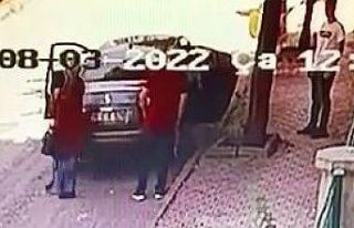 Yavru kediyi sokağa attı, 2 bin 724 lira ceza yedi