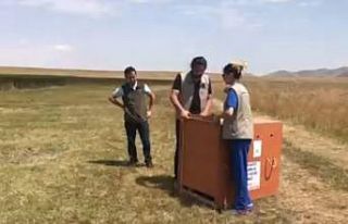 Yavru leylekler doğaya salındı