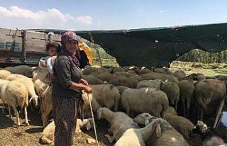 Yerlerinden edilen Yörükler isyan etti