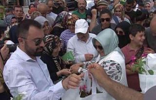 “Yeşil Balkonlar” ile Sancaktepe çiçek açıyor