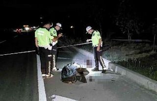 Yol kenarında katı atık toplarken kazada hayatını...