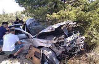 Yol kenarındaki ağaçlık alana dalan otomobilin...